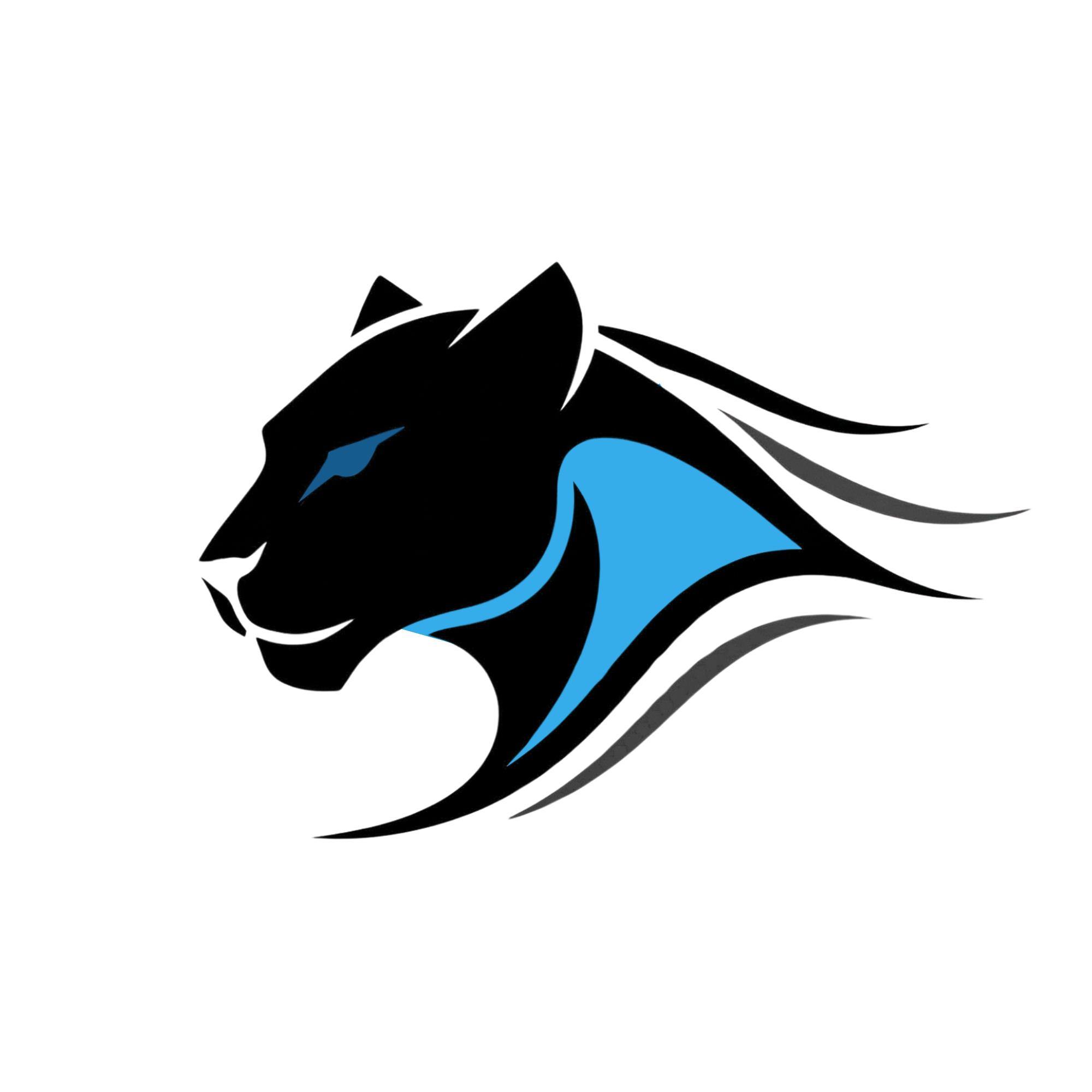 SwiftPath Logo